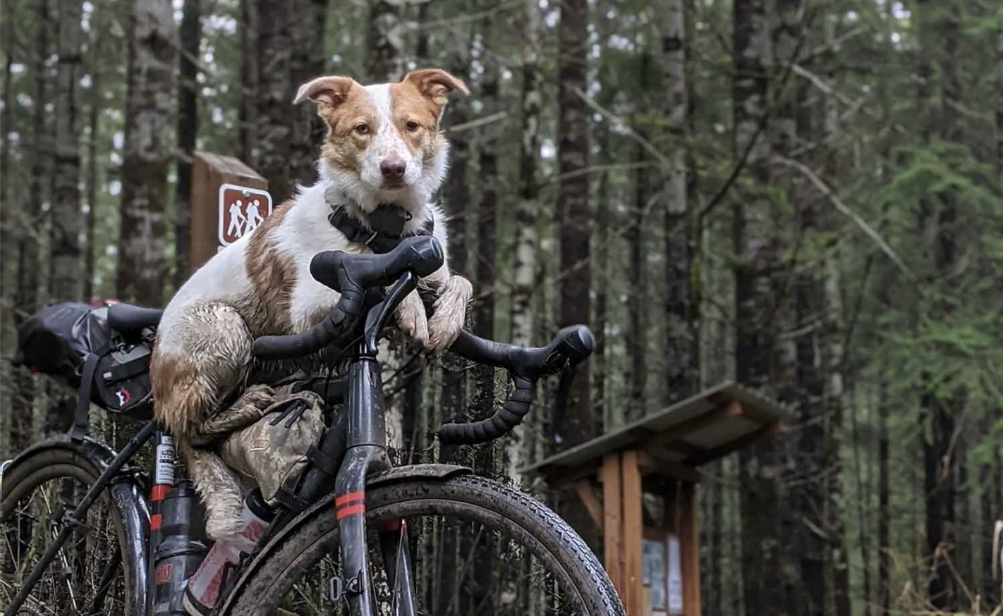 Screenshot 2025-11-20 at 1.51.58 PM