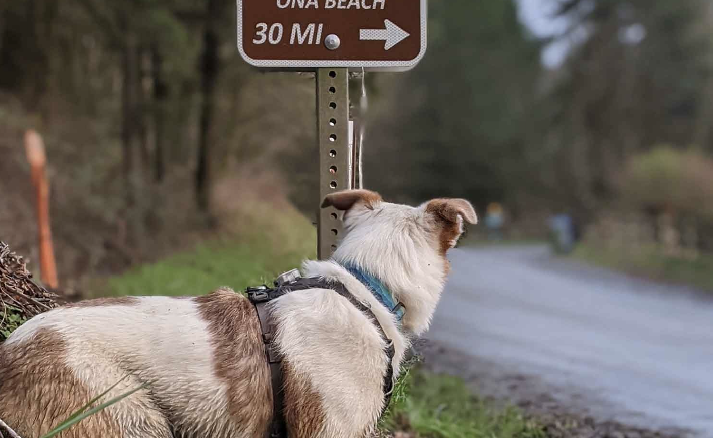 Screenshot 2025-11-20 at 1.52.30 PM