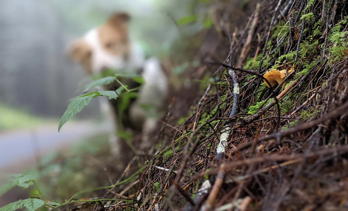 Screenshot 2025-11-20 at 1.52.39 PM